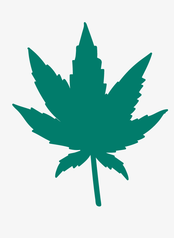 sativa Trainwreck