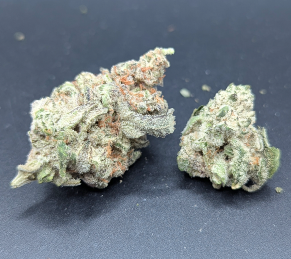 Frosted Gelato